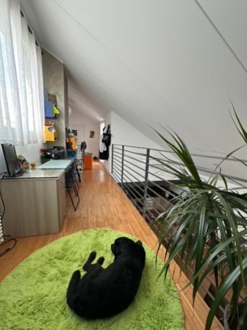 Apartment Pm 57 Via Giovanni Antonio Amadeo